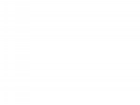 spaser_h450.png